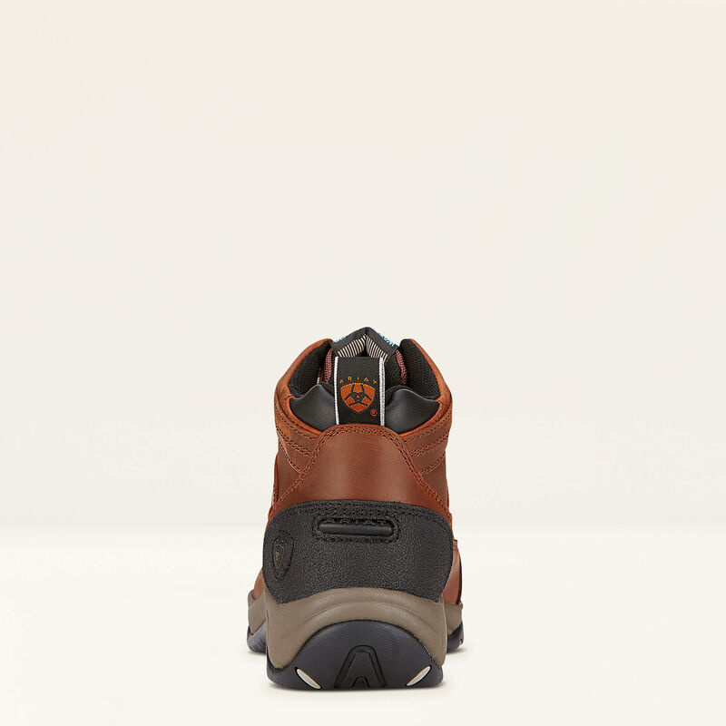 10004134 WMS TERRAIN H20