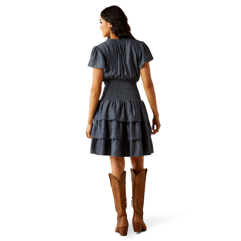 10054548 WMS Stellar Dress Chambray