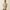 10073530 MNS Scenic Almond