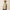 10073672 Boys Scenic Almond