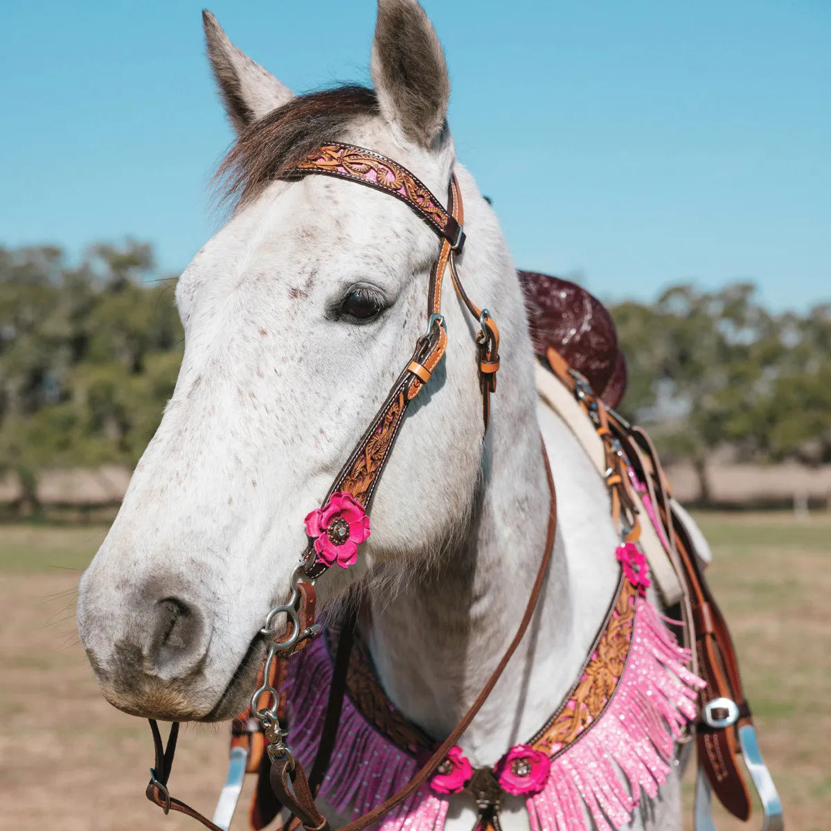 1061-12-S4 Malibu Bridle Pink Flowers