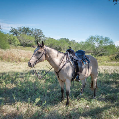 1581 Alabama Trail Gaiter-Spider