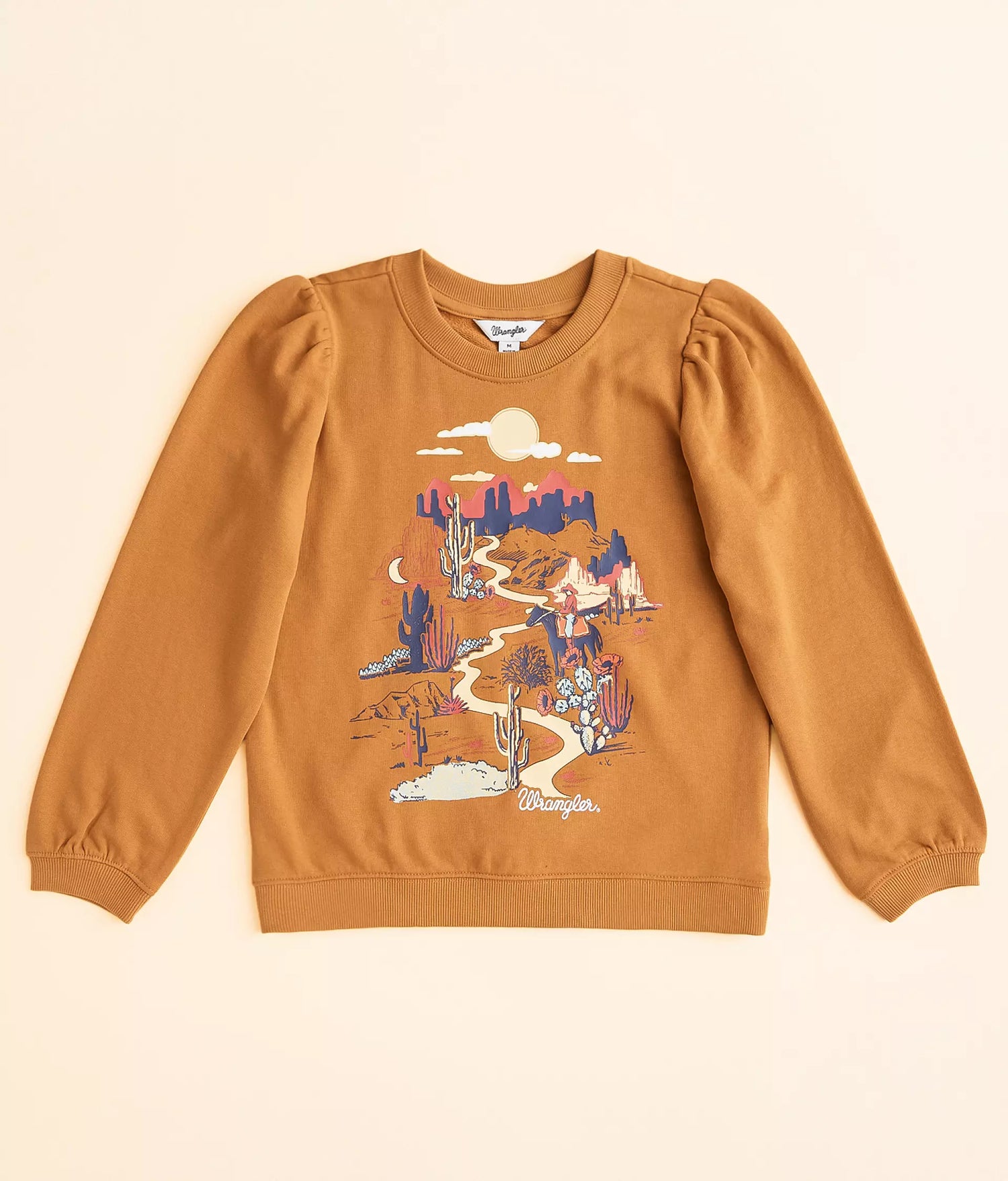 112353029 - Wrangler® Girls Sweatshirt - Brown