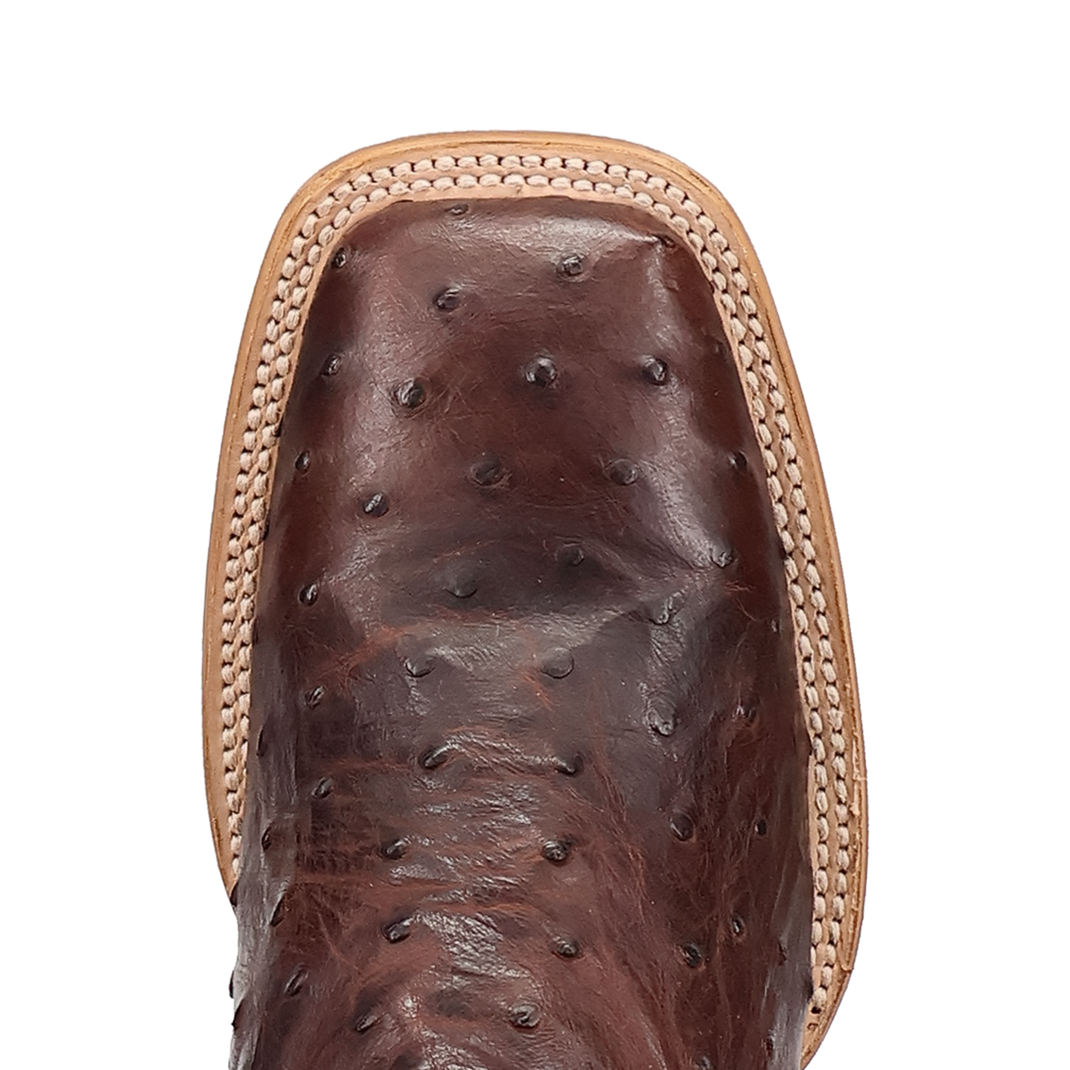 DP5268 MNS Drayden Ostrich Tan/Chocolate