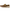10074392 WMS Hilo Shore Brown